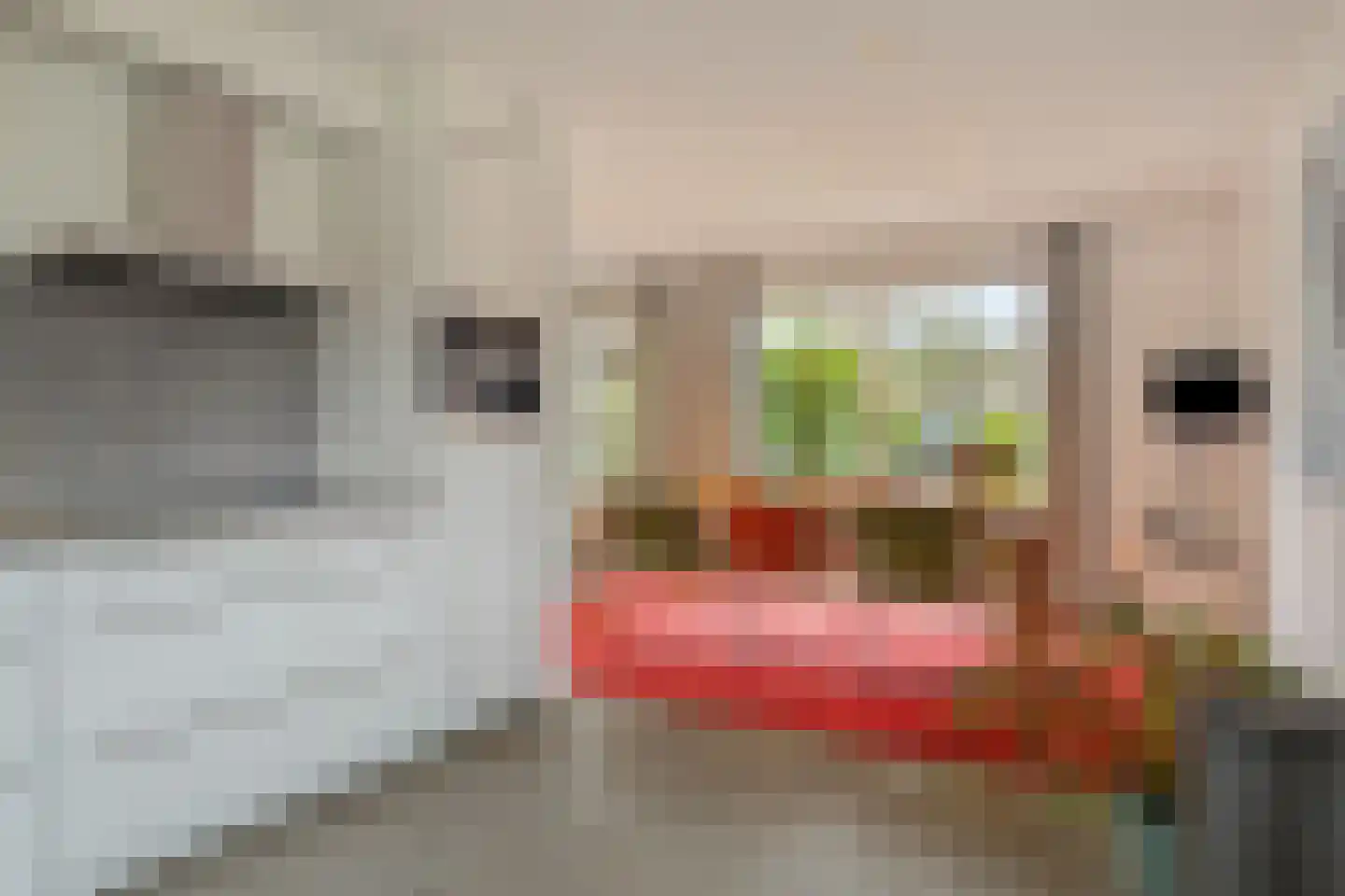 Hermelijnedreef 6 Oss thumbnail 14