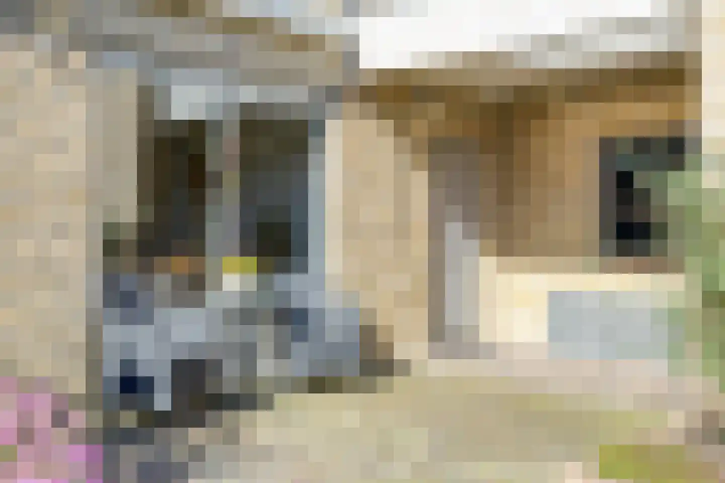 Hermelijnedreef 6 Oss thumbnail 22