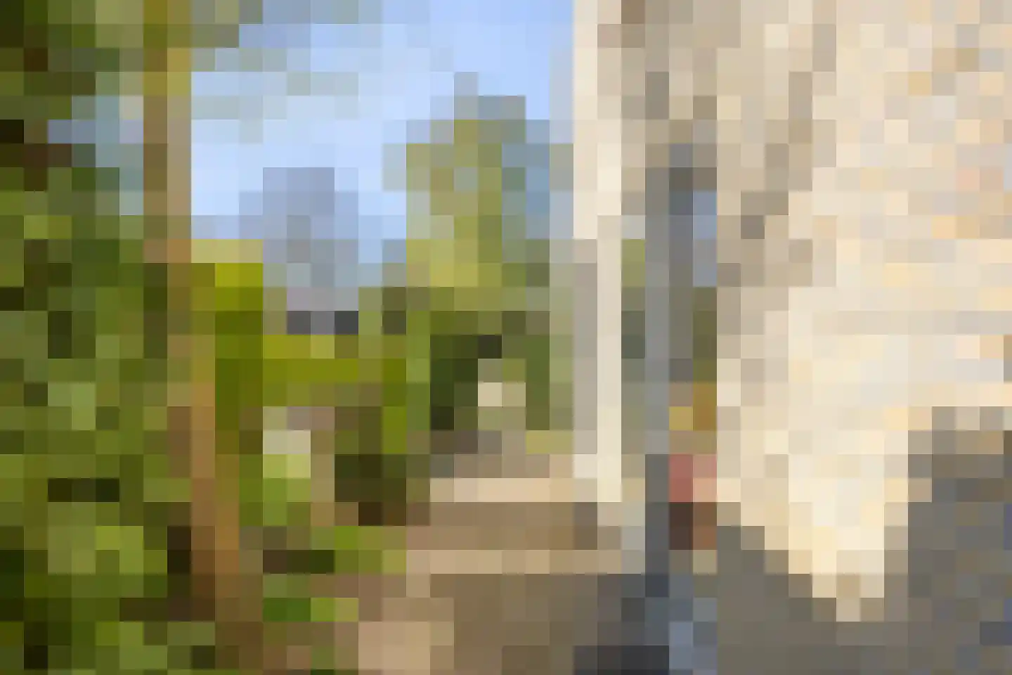 Hermelijnedreef 6 Oss thumbnail 30