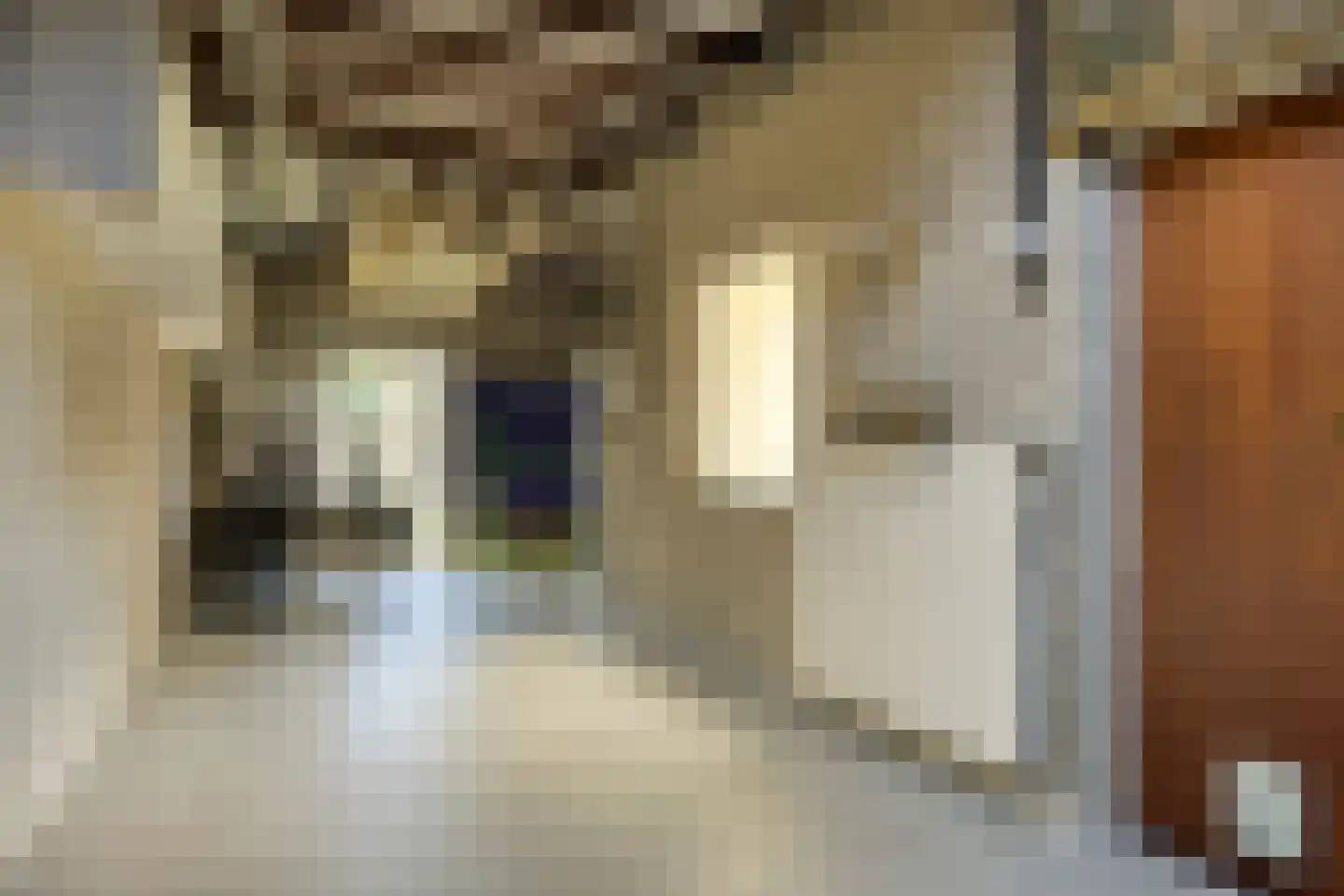Hermelijnedreef 6 Oss thumbnail 33
