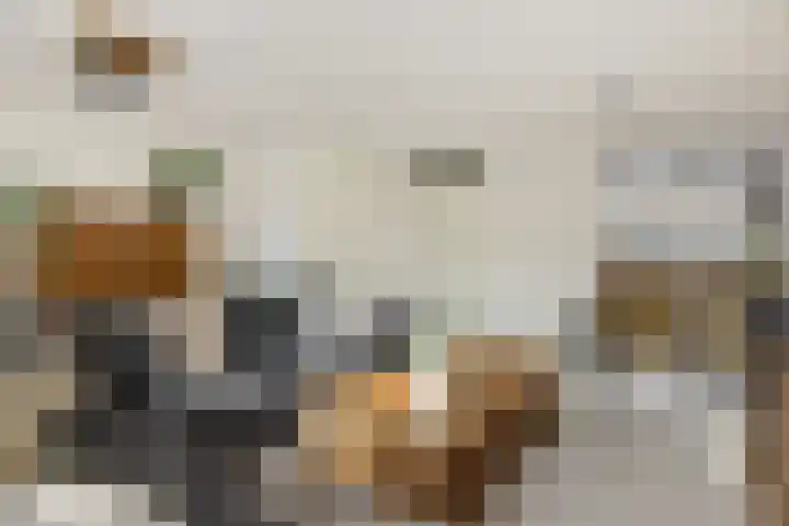 Hermelijnhage 49 Berlicum thumbnail 11