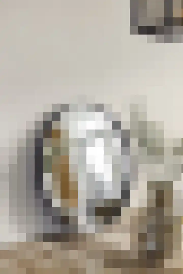 Hermelijnhage 49 Berlicum thumbnail 13