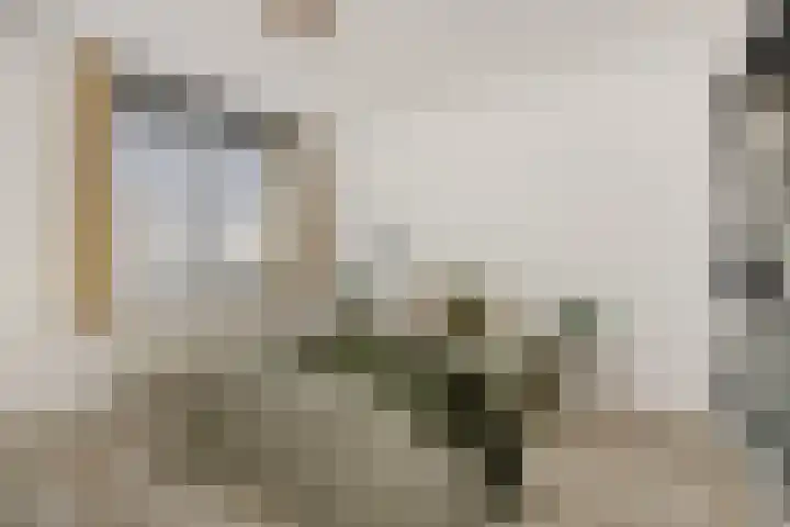 Hermelijnhage 49 Berlicum thumbnail 20