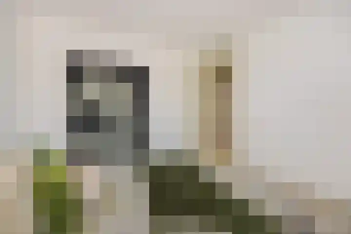 Hermelijnhage 49 Berlicum thumbnail 21