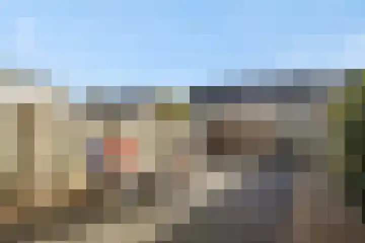Hermelijnhage 49 Berlicum thumbnail 28