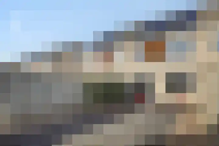 Hermelijnhage 49 Berlicum thumbnail 31