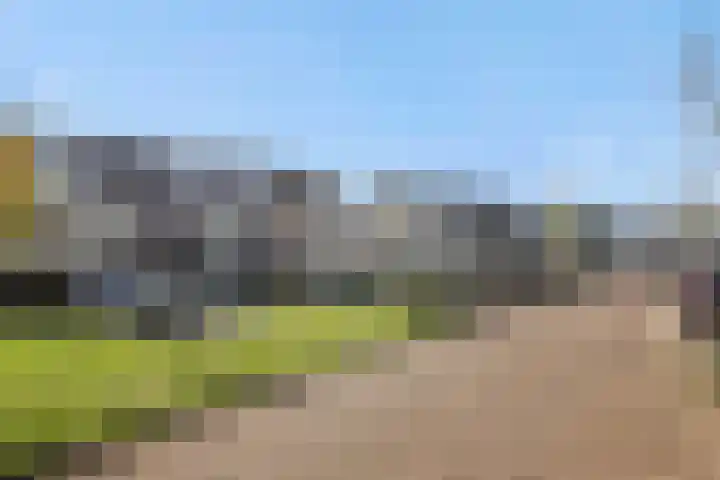 Hermelijnhage 49 Berlicum thumbnail 36