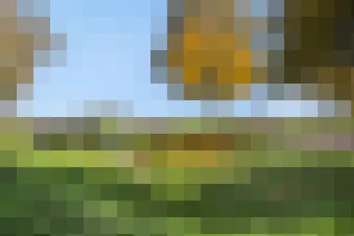 Hermelijnhage 49 Berlicum thumbnail 38