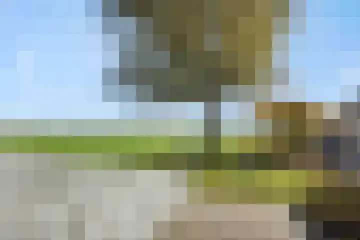 Hermelijnhage 49 Berlicum thumbnail 39