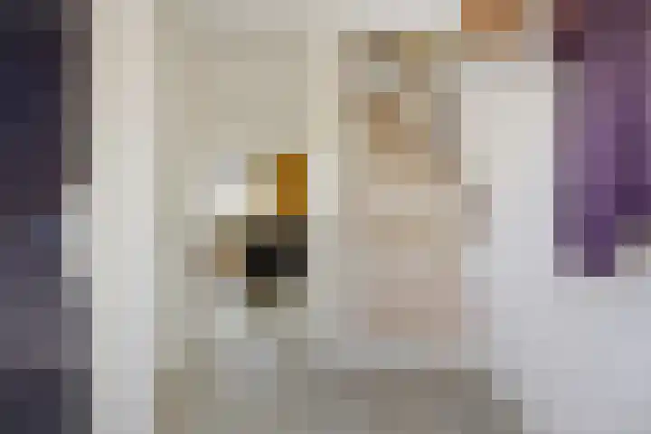 Hermelijnhage 49 Berlicum thumbnail 6