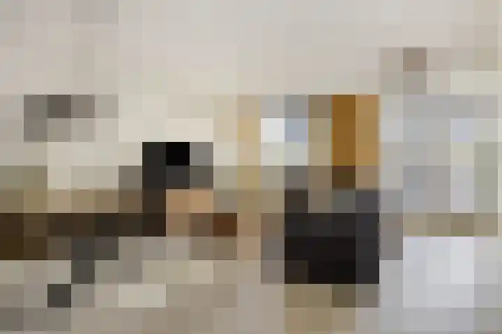 Hermelijnhage 49 Berlicum thumbnail 7