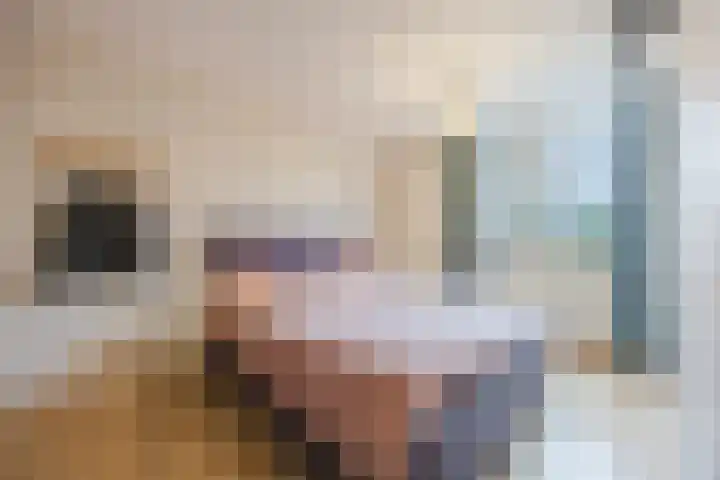 Hermelijnkwartier 34 Cuijk thumbnail 15