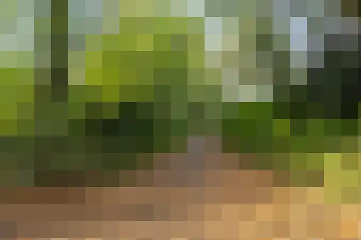 Hermelijnkwartier 34 Cuijk thumbnail 32