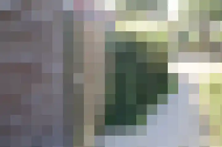 Hermelijnkwartier 44 a Cuijk thumbnail 31