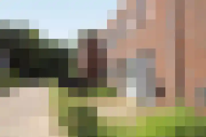 Hermelijnkwartier 44 a Cuijk thumbnail 5