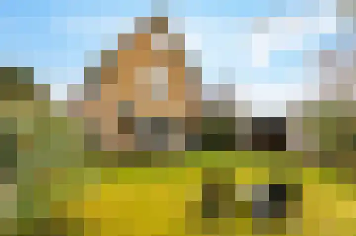 Hermelijnlaan 2 Hilversum thumbnail 47