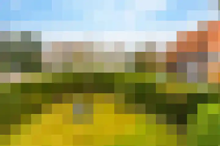 Hermelijnlaan 2 Hilversum thumbnail 57