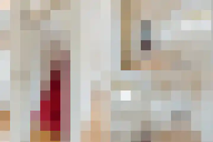 Hermelijnlaan 2 Hilversum thumbnail 69
