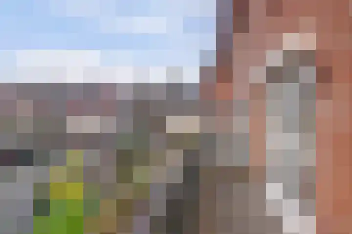 Hermelijnsingel 27 Culemborg thumbnail 22