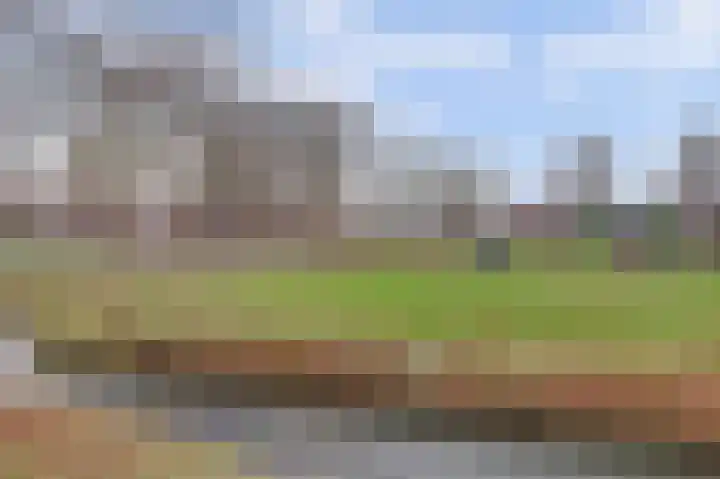 Hermelijnsingel 27 Culemborg thumbnail 38