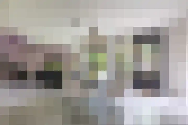 Hermelijnweide 32 Veghel thumbnail 18