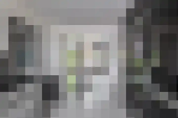 Hermelijnweide 32 Veghel thumbnail 20