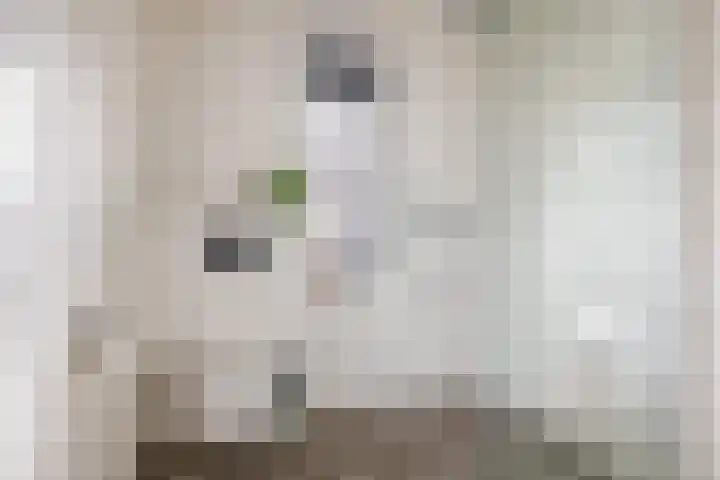 Hermelijnweide 32 Veghel thumbnail 30