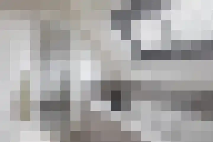 Hermelijnweide 32 Veghel thumbnail 32