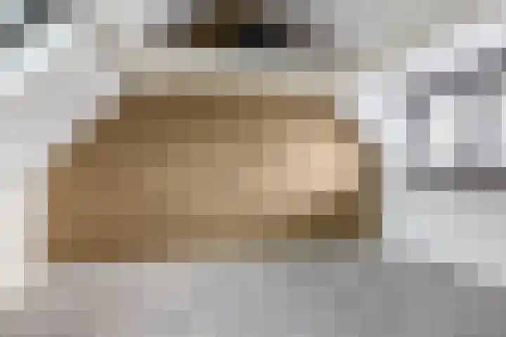 Hermelijnweide 32 Veghel thumbnail 37