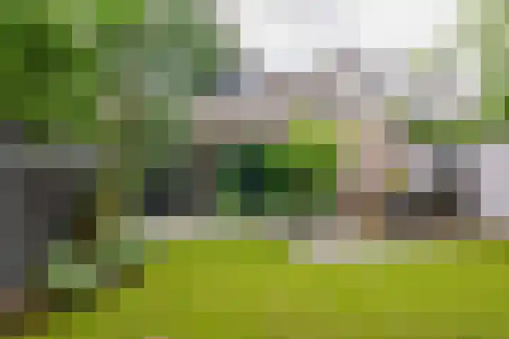 Hermelijnweide 32 Veghel thumbnail 40