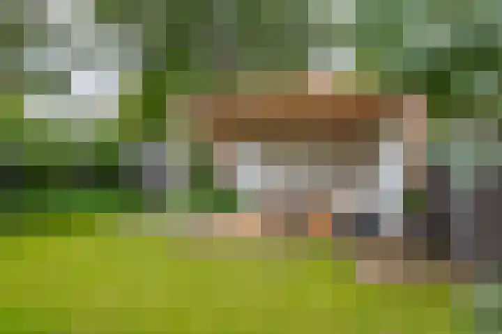 Hermelijnweide 32 Veghel thumbnail 41