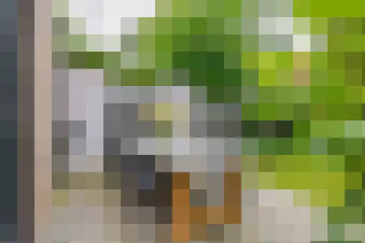Hermelijnweide 32 Veghel thumbnail 42