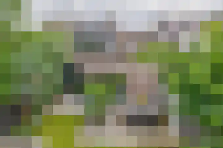 Hermelijnweide 32 Veghel thumbnail 43