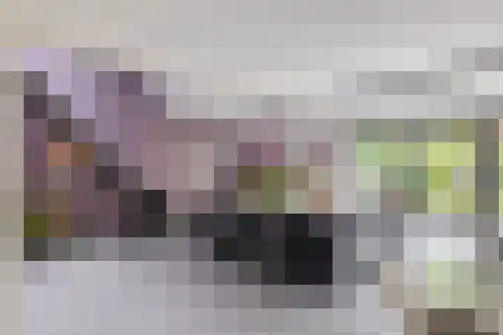Hermelijnweide 32 Veghel thumbnail 6