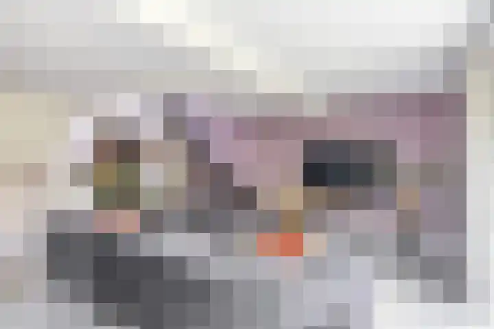 Hermelijnweide 32 Veghel thumbnail 7