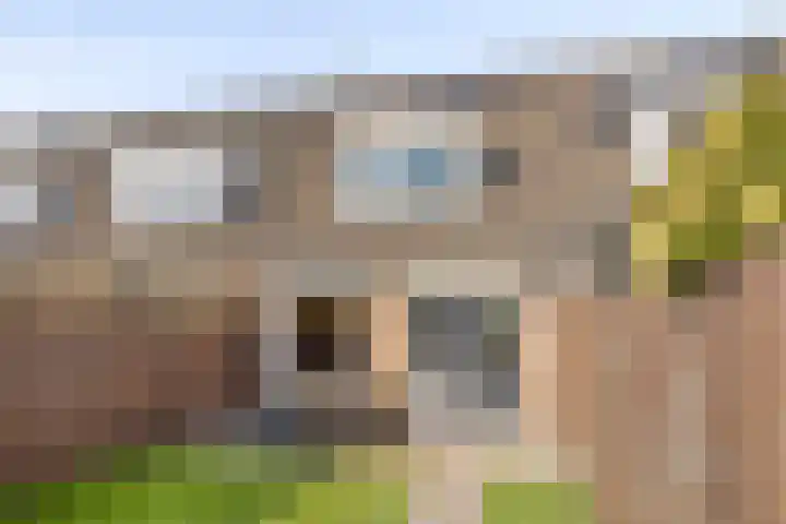 Hermelijnweide 39 Veghel thumbnail 30