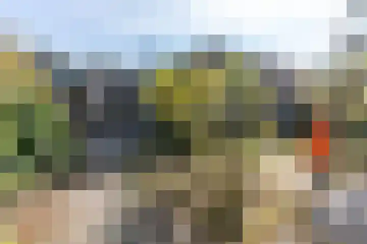 Hermes 6 Soesterberg thumbnail 19