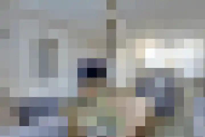 Hermesplantsoen 5 Volendam thumbnail 13