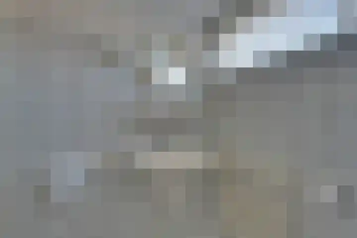 Hermesplantsoen 5 Volendam thumbnail 37