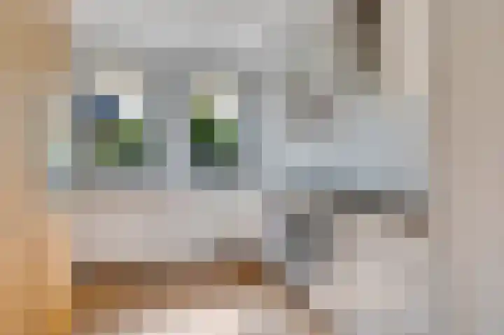Hermitage 94 Hoofddorp thumbnail 11