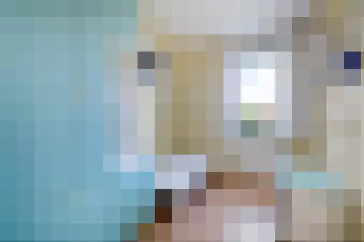 Hermitage 94 Hoofddorp thumbnail 18