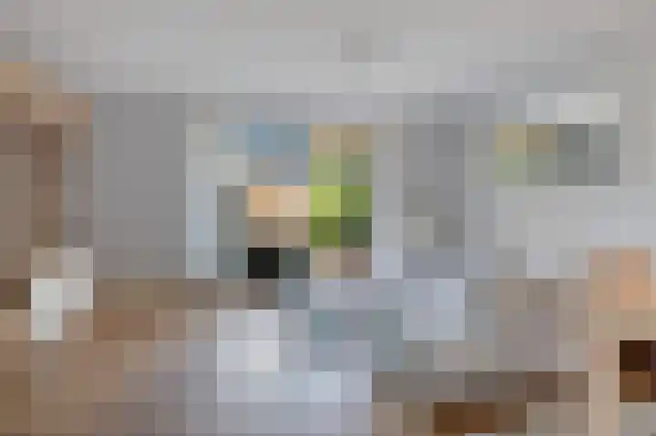 Hermitage 94 Hoofddorp foto 2