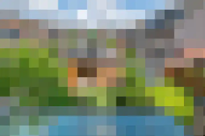Hermitage 94 Hoofddorp thumbnail 30