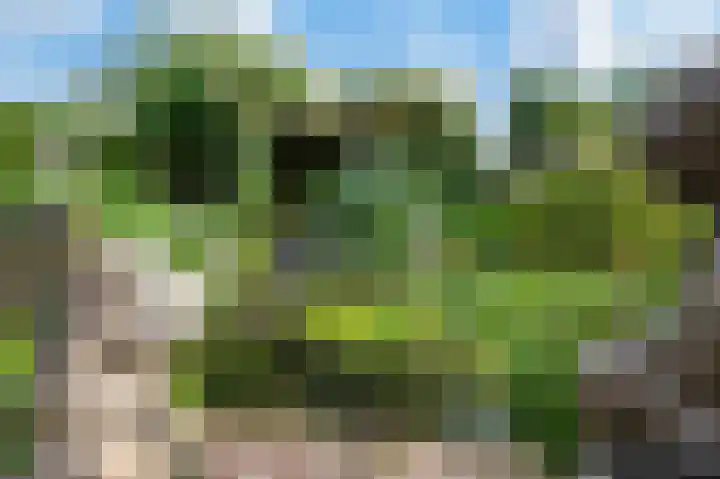 Hermitage 94 Hoofddorp thumbnail 46