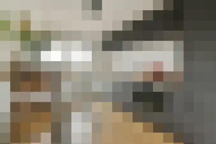 Hermonlaan 32 Rotterdam thumbnail 7