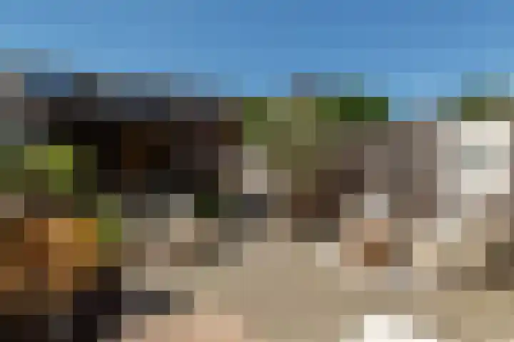 Herodotuslaan 31 Assen thumbnail 11