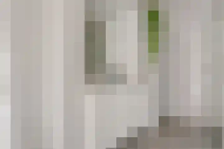 Herodotuslaan 31 Assen thumbnail 18