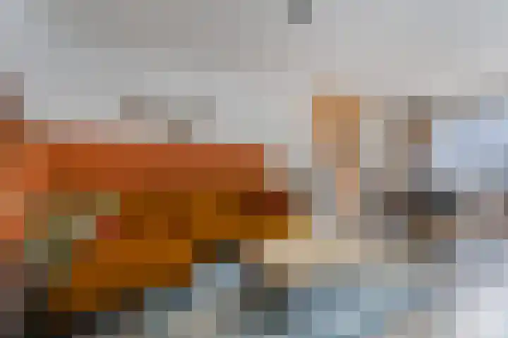 Herodotuslaan 31 Assen thumbnail 30