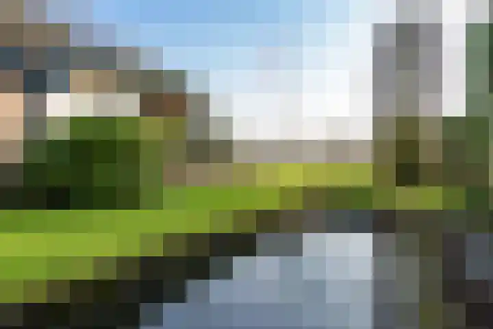 Herodotuslaan 31 Assen thumbnail 31