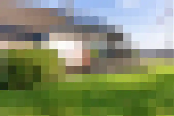 Herodotuslaan 31 Assen thumbnail 32